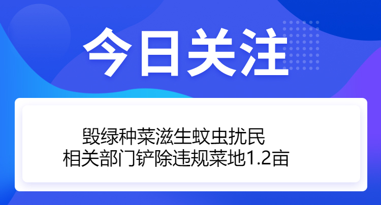 今日關注h (1).jpg