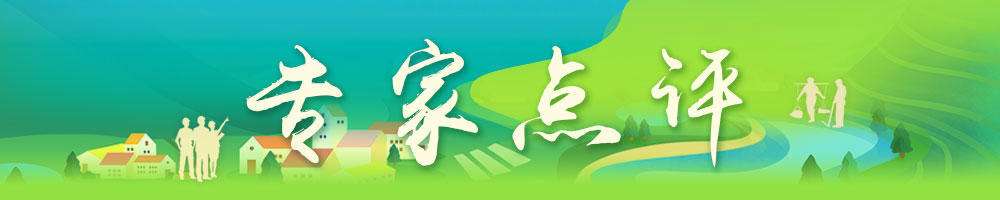 專家點評.jpg