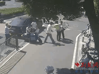 DM_20250318202503_002.gif