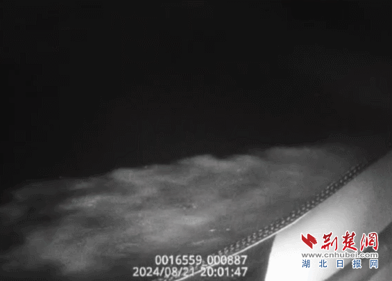 DM_20250318203957_001.gif