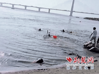 DM_20250318200545_001.gif