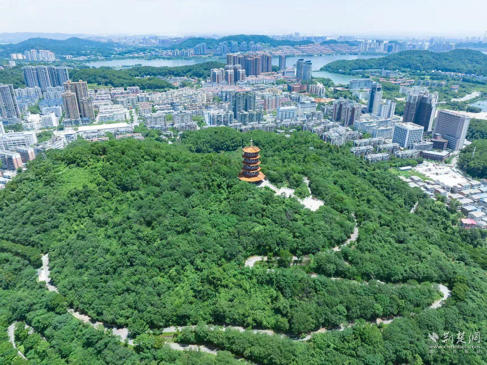 勁牌捐建的柯爾山白馬山公園.jpg.jpg